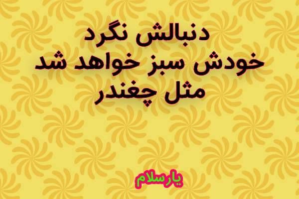 اینقدر دنبالش نگرد